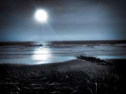 © Marilyn Canning