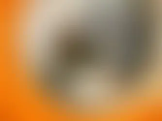 360 Exhibit Tour, Opening Night Photos and Time Lapse Video! • 21 December 2024 