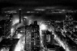 © Gary Ricketts