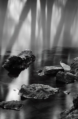 © Dennis Segers