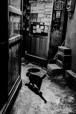 © Taeyoung Kang