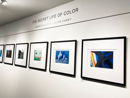 THE SECRET LIFE OF COLOR • DOCUMENTATION