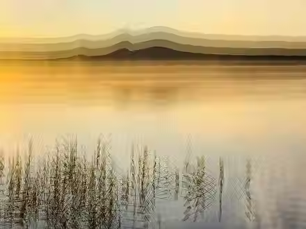 © Sherry Fendell.avif