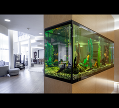 Aquarium Hotel Restaurant Ordination Süßwasser