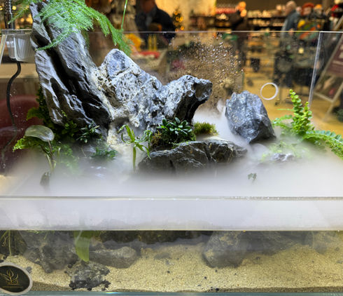 Nebel Paludarium