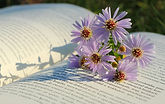 flowers-9115519_1280.jpg