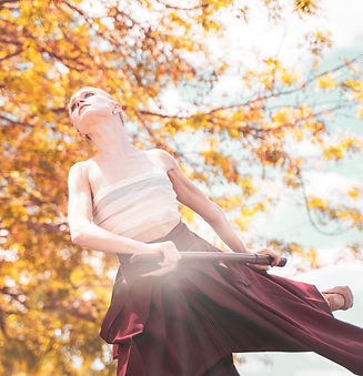 morikami gardens miami city ballet japanese ballet
