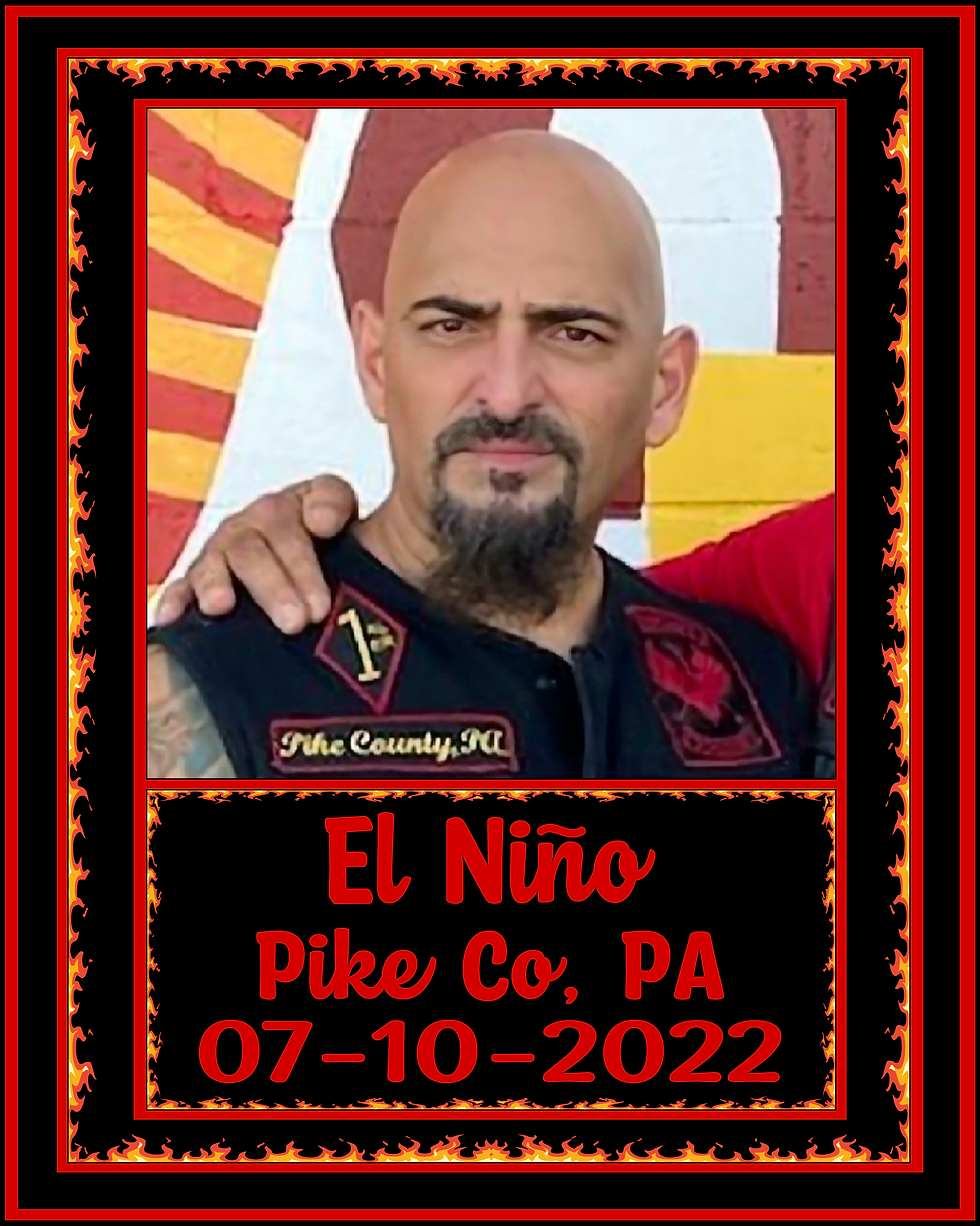 Pink Poppy Flowers