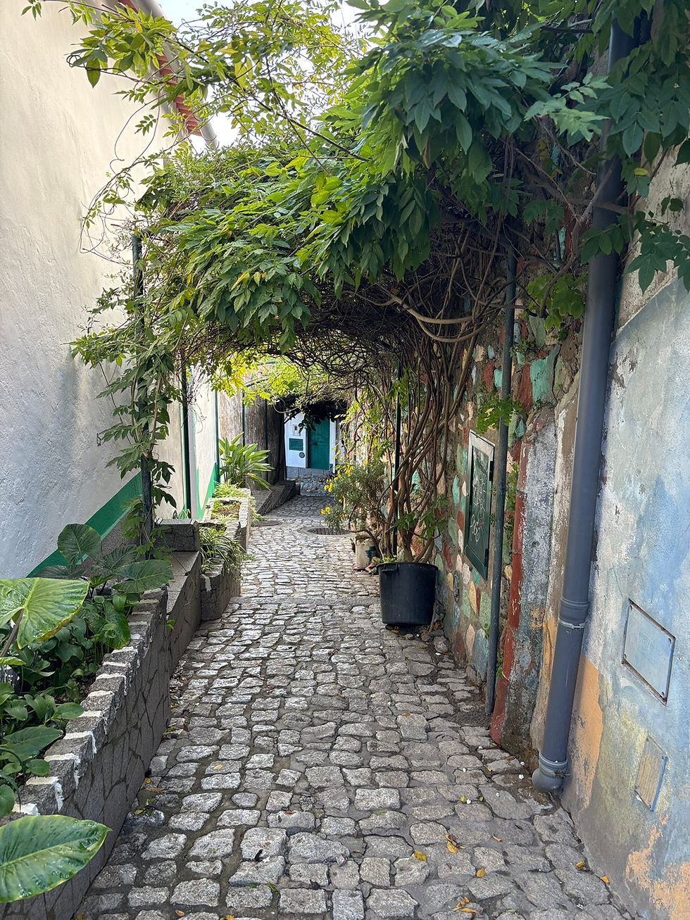 grijs kasseien straatje met weelderige groene planten