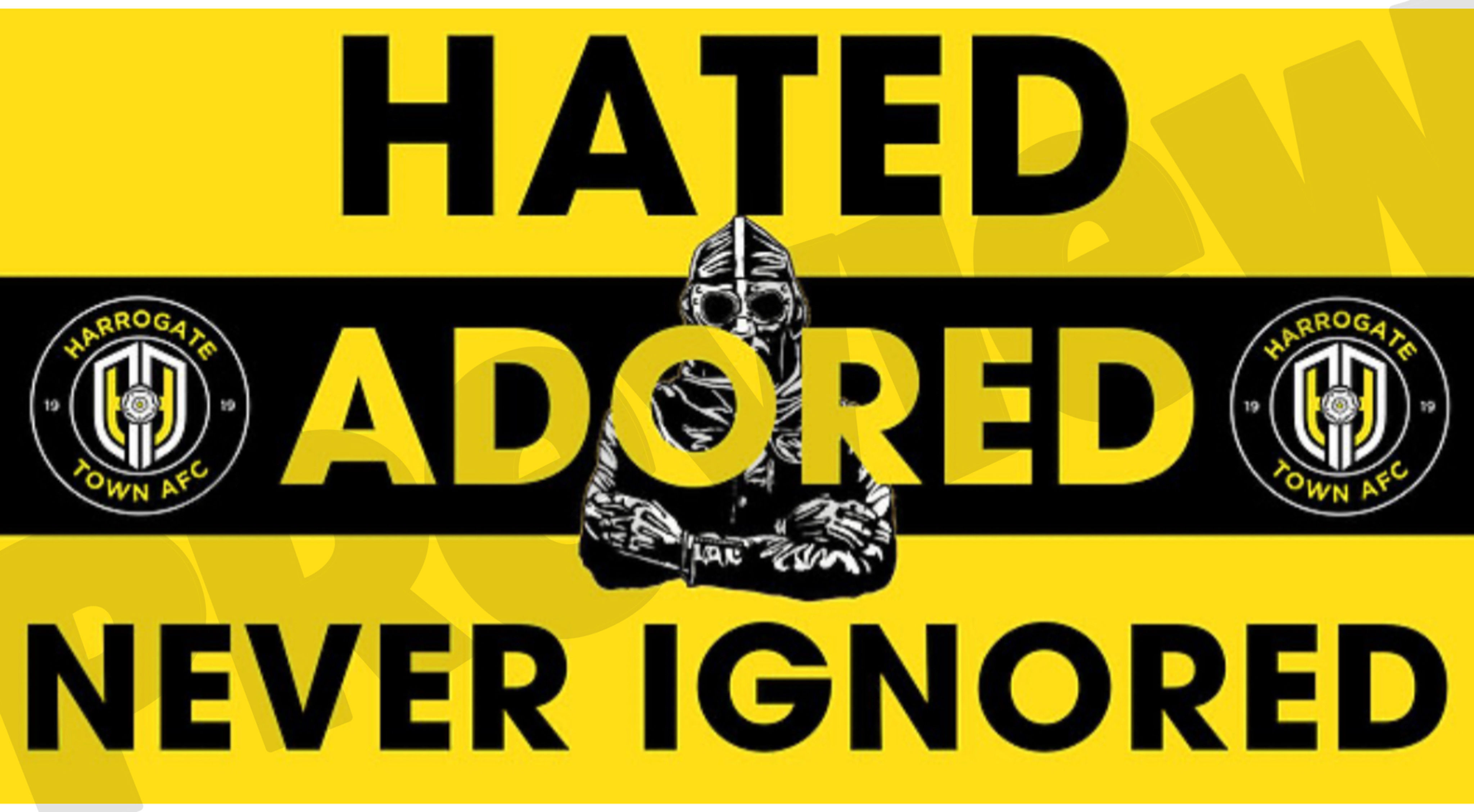 Harrogate Town HATED ADORED