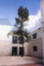 בית הספר יגאל אלון