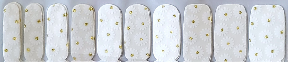 Daisies w/ Gold Centers Overlay