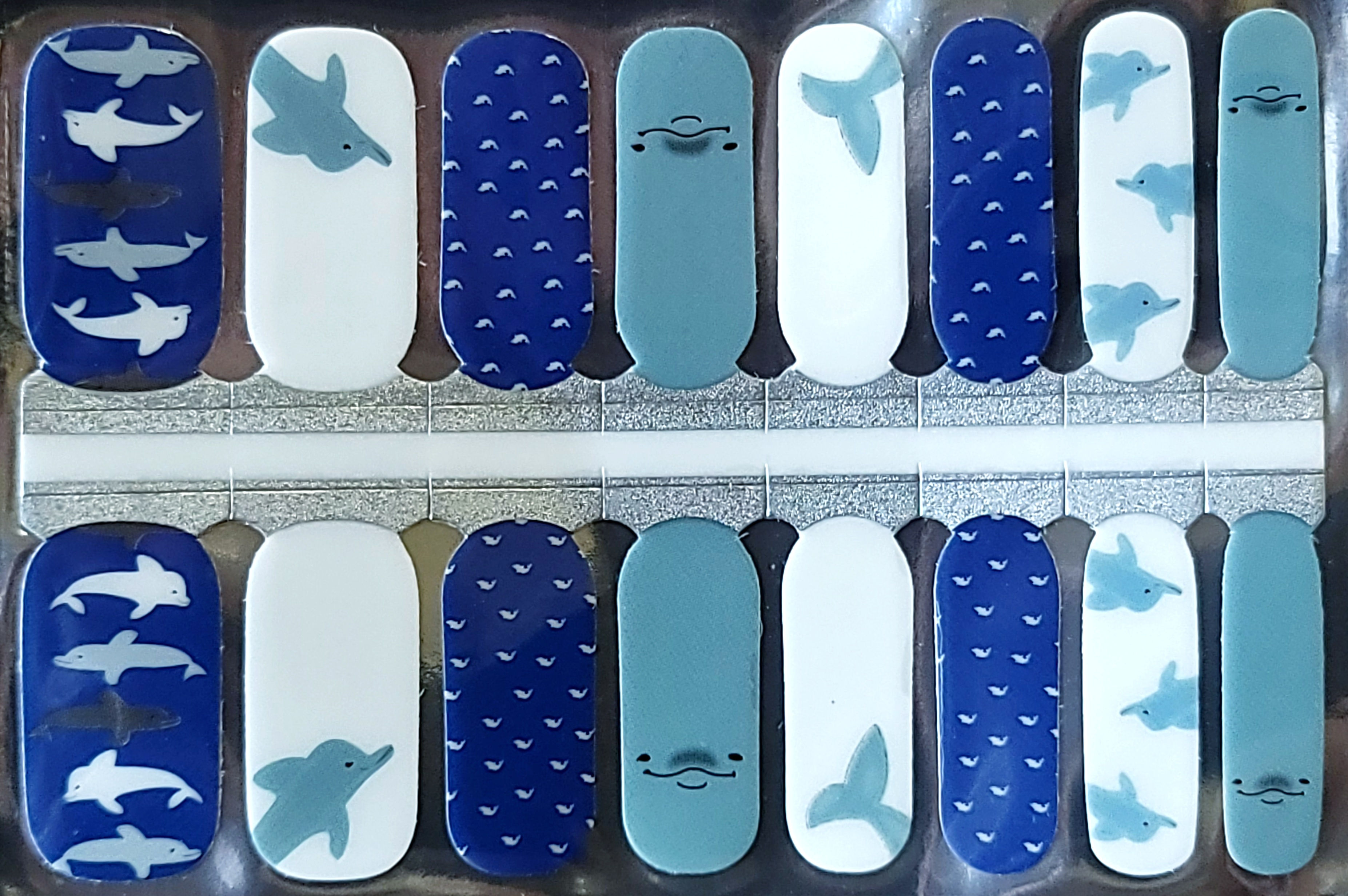 Dolphin Tale - ZB Series