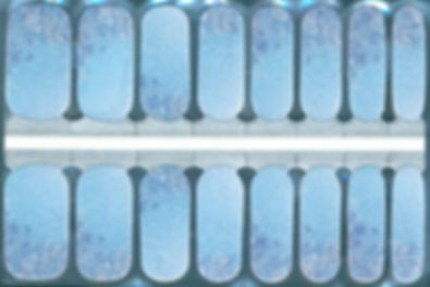 Frosted Snowfall - ZB Series