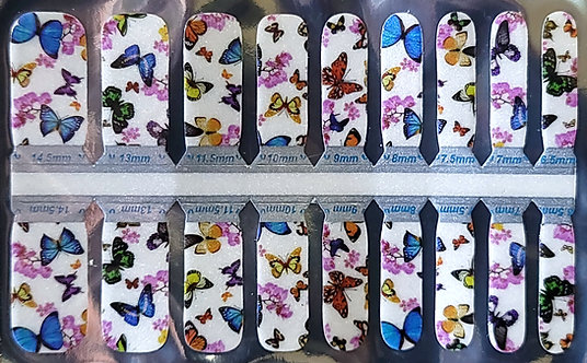Colorful Butterflies - Kids
