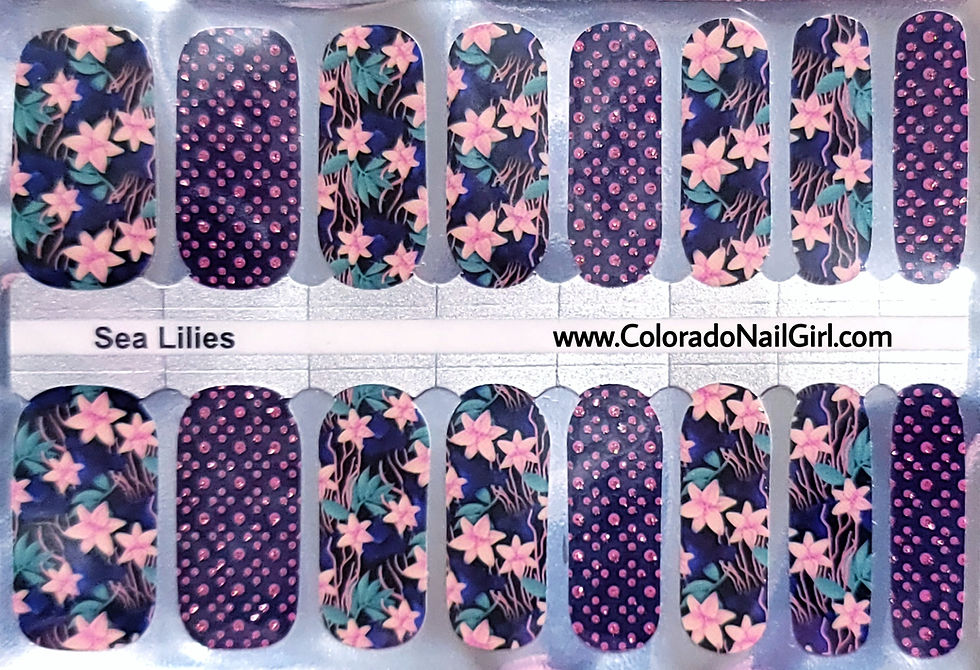 Thumbnail: Sea Lilies - CNG Exclusive ZB Series