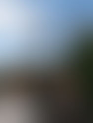 “Why aren’t care home gardens used more actively?”