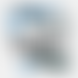 What a year 2016 has been