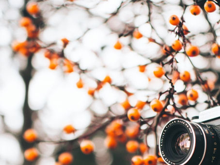Why photography is a perfect Autumn activity