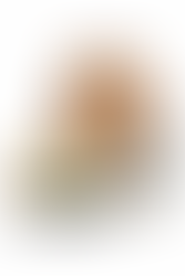 What you put in your box matters: supporting yourself in your role of activity coordinator