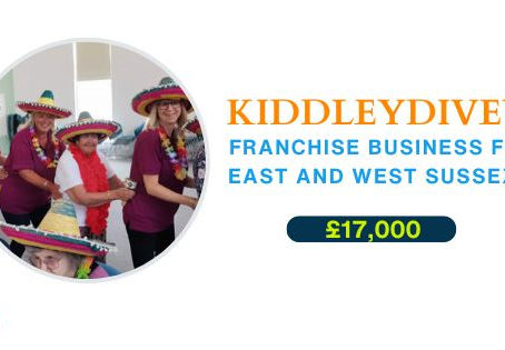 Care home entertainment business for sale