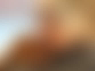 Dementia Action Week: how therapy dogs can help those with dementia