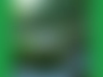 Pagamentos por Serviços Ambientais: Como Lucrar Preservando a Natureza?