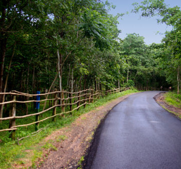 Maredumilli Tourism