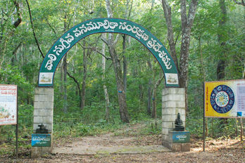 Maredumilli 2 Day tour Package