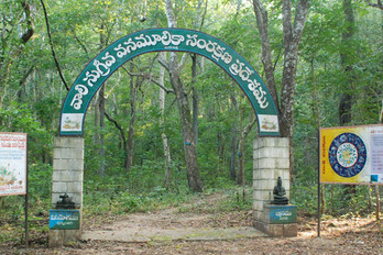 Maredumilli 2 Day tour Package