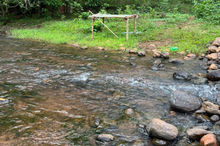 Manyam Resorts Maredumilli