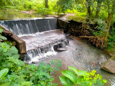 Maredumilli Garden resort