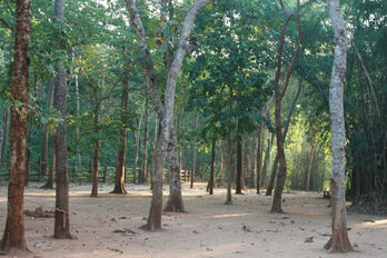 Maredumilli 2 Day tour Package
