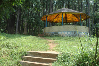 Maredumilli 2 Day tour Package