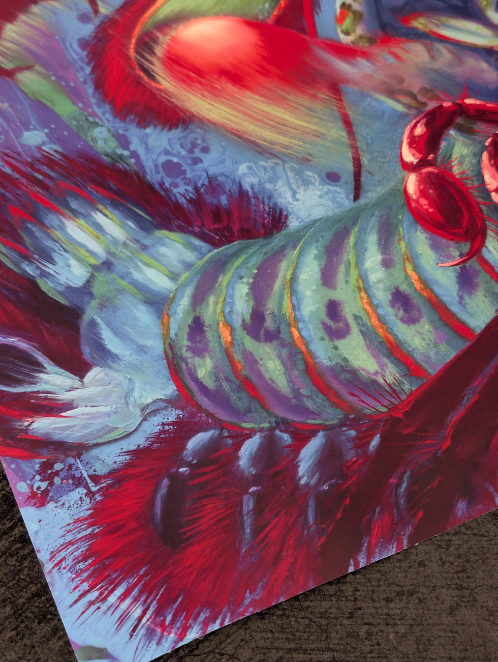 Thumbnail: POSTER The Shrimp!