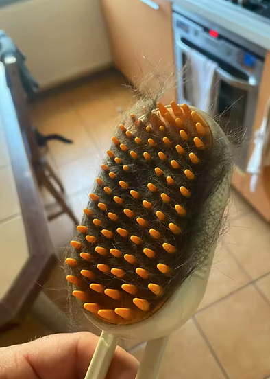 Good way of getting pet hair
