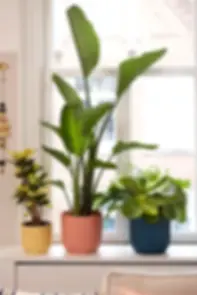 Elho Vibes Fold Round Planter