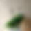Thumbnail: Philodendron Heartleaf Hanging Basket 6"