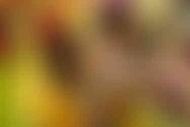 Candid Wedding Photographers in Jaipur | Delhi | India - HM Productions