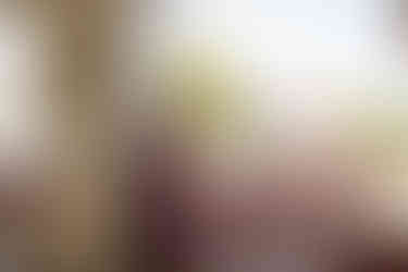 Wedding Photography at Jai Mahal Palace, Jaipur by HM Productions