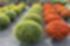 shutterstock_1210101280-1024x683.jpg