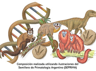DIA 1 - 18 de MAYO - Composición realizada utilizando ilustraciones del Semillero de Prima