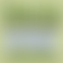 Living Coast Ministry Featured on The Green Lectionary Podcast