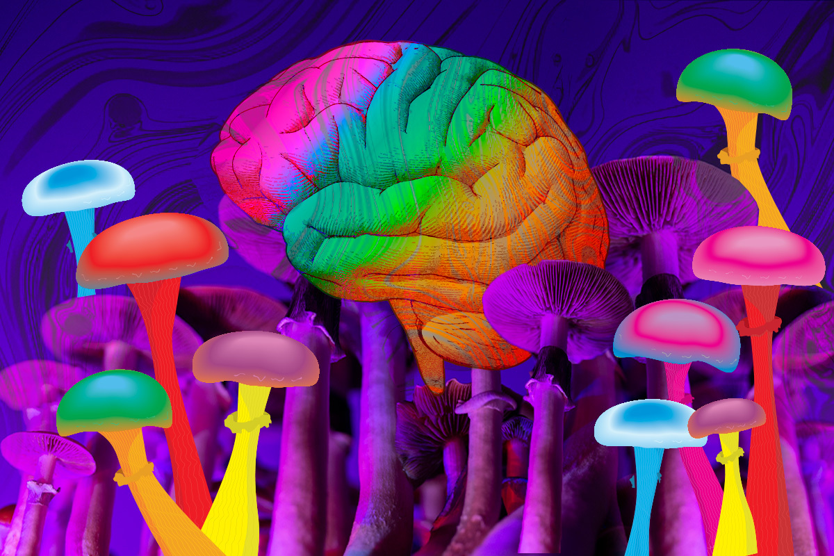 Mushed Shrooms Kingdom