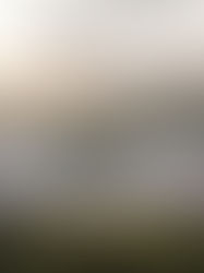 El Domo, vinculación de estrategias de sostenibilidad en la arquitectura