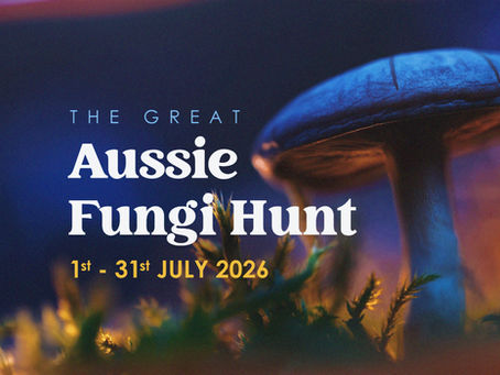 The Great Aussie Fungi Hunt