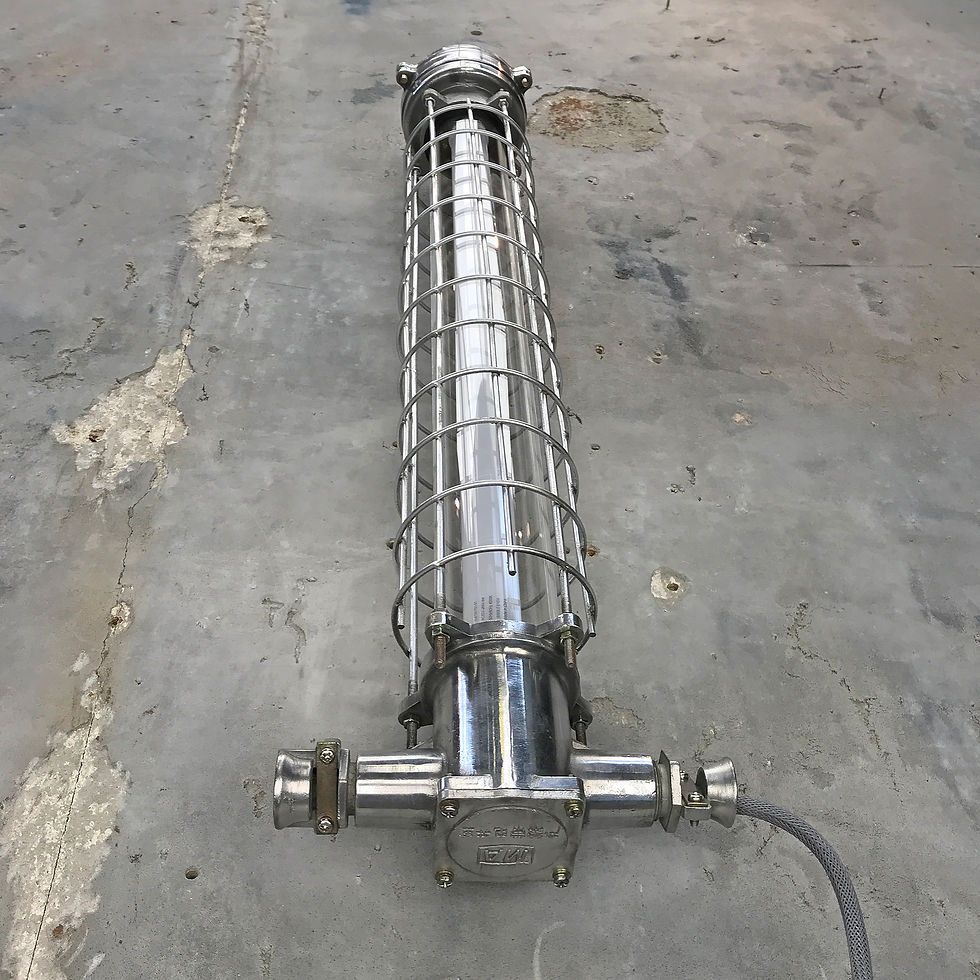 Thumbnail: Compact Explosion Proof Single Tube Light