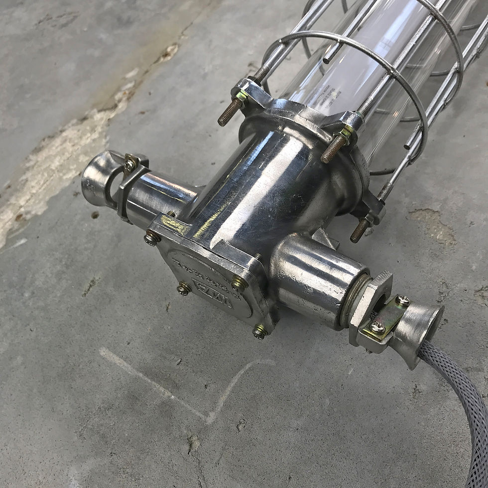 Thumbnail: Compact Explosion Proof Single Tube Light