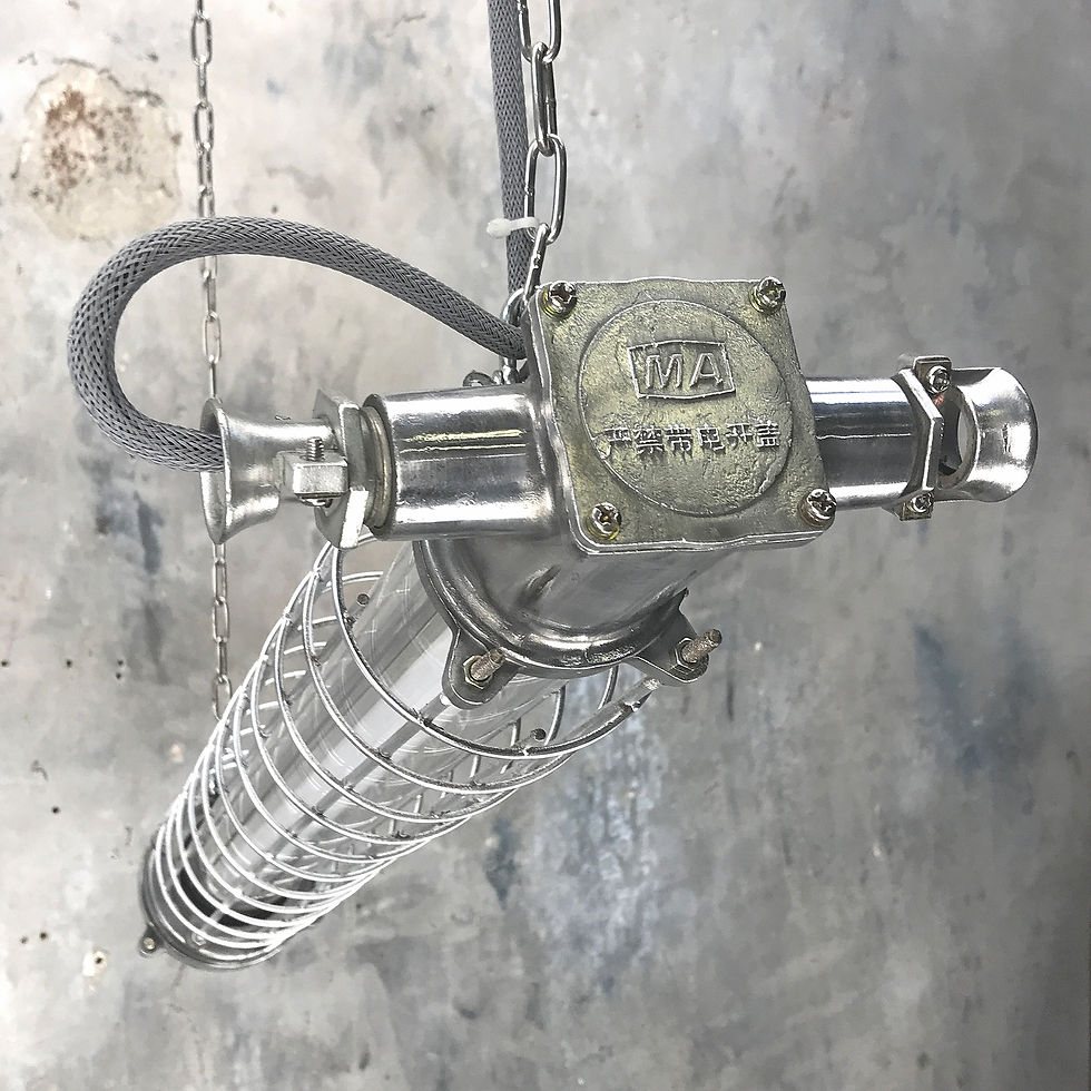 Thumbnail: Compact Explosion Proof Tube Light Pendant