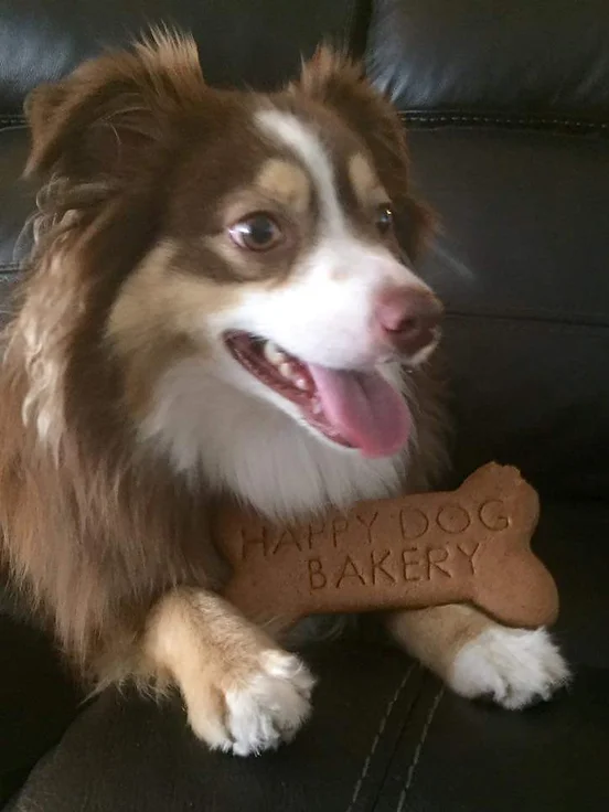 happy dog bakery